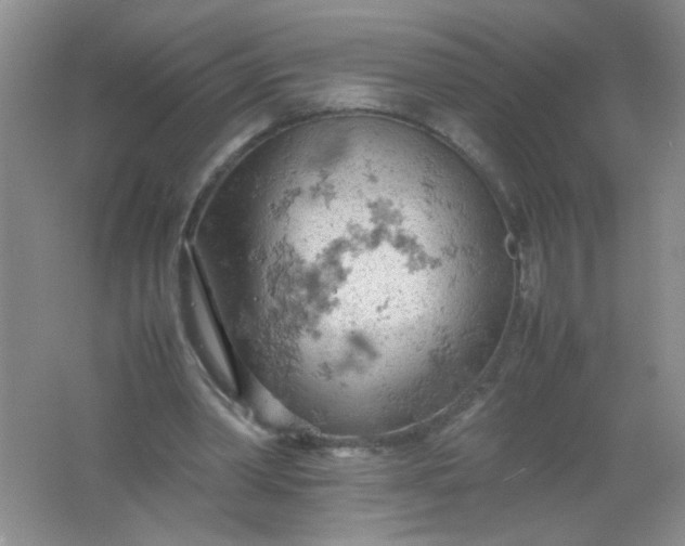 X0000061740390200512161655