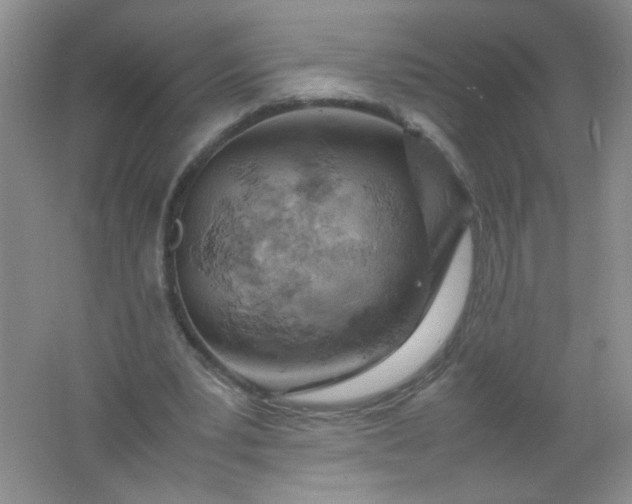 X0000061740391200512161655