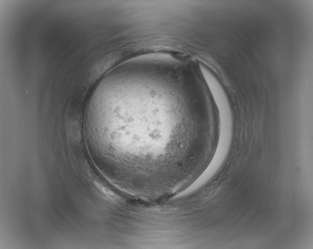 X0000061740393200512161655