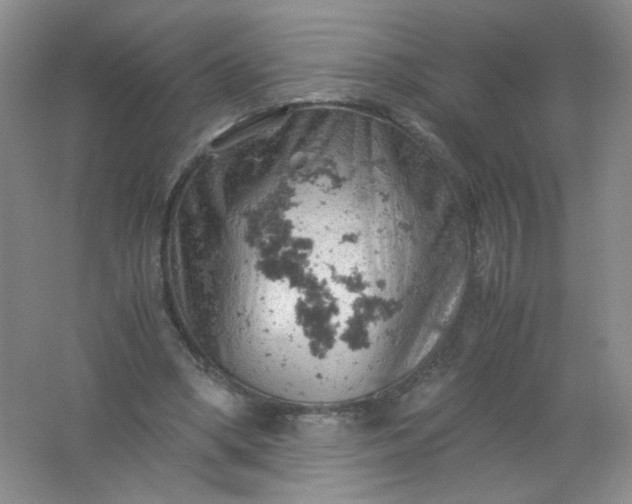 X0000061740394200512161655