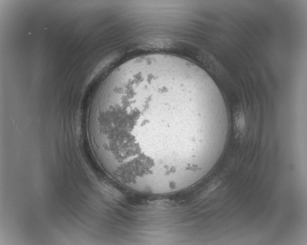 X0000061740396200512161655