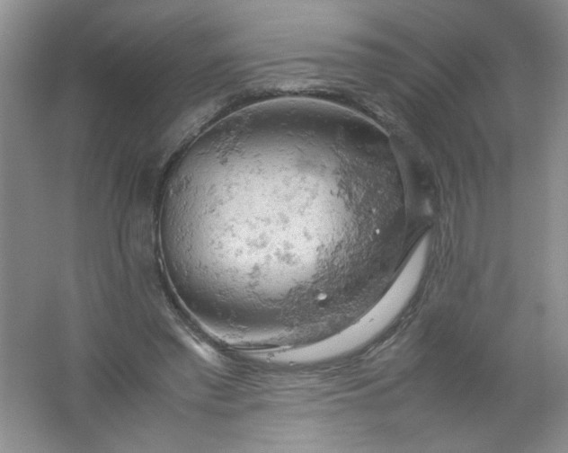 X0000061740397200512161655