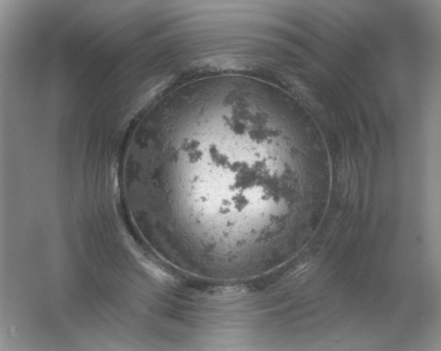 X0000061740398200512161655