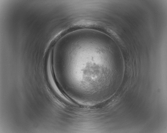 X0000061740399200512161655