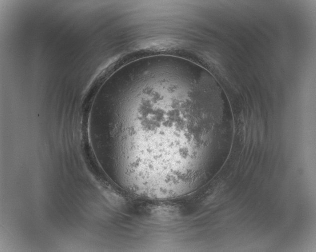 X0000061740400200512161655