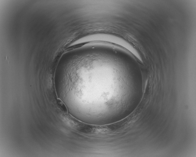 X0000061740401200512161655