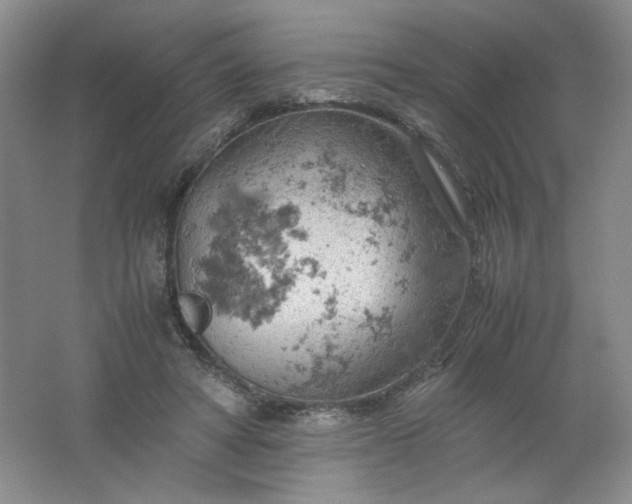 X0000061740402200512161655