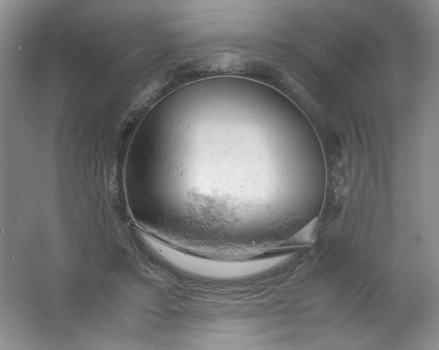 X0000061740403200512161655