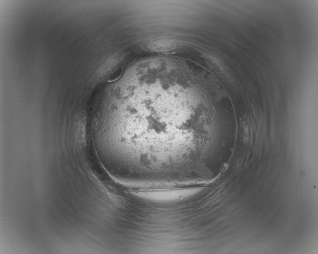 X0000061740404200512161655