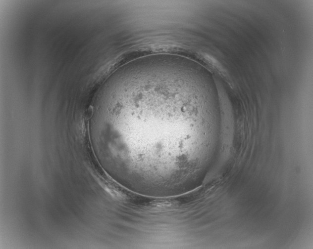 X0000061740405200512161655