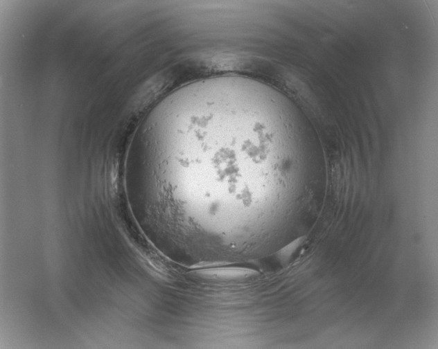 X0000061740406200512161655