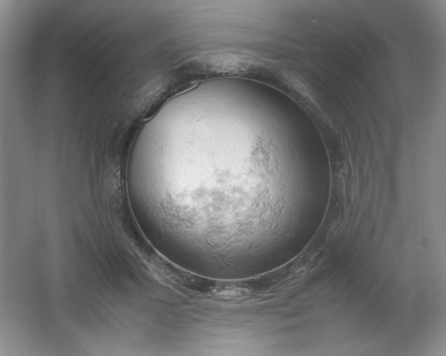 X0000061740407200512161655