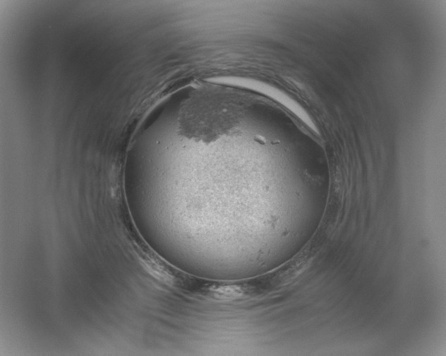 X0000061740409200512161655