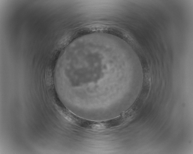 X0000061740411200512161655