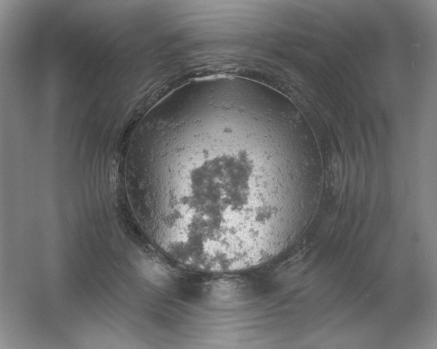 X0000061740412200512161655