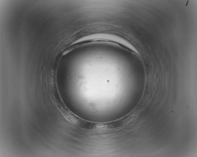 X0000061740413200512161655