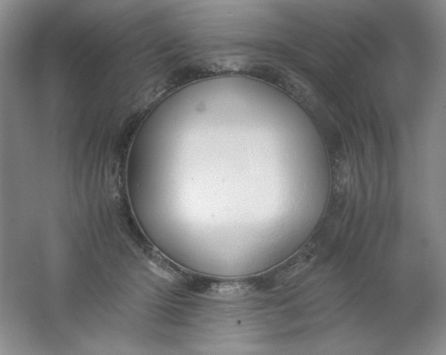 X0000061740414200512161655