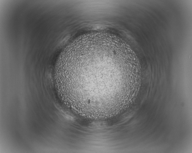 X0000061740415200512161655