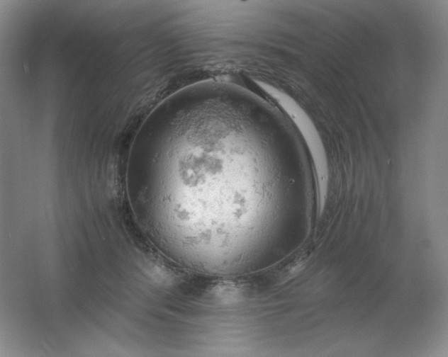 X0000061740416200512161655