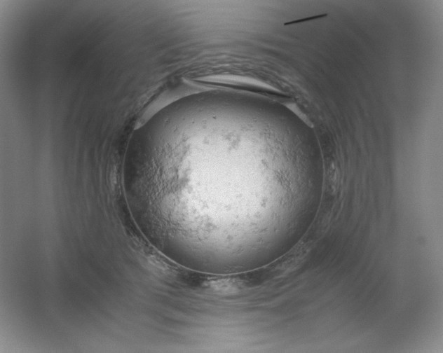 X0000061740417200512161655