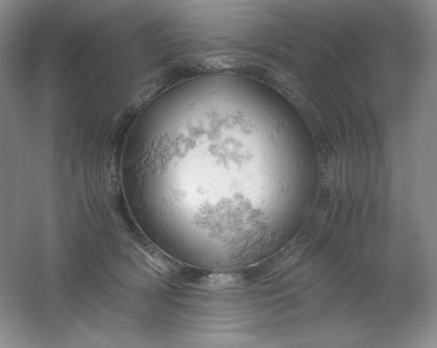 X0000061740418200512161655