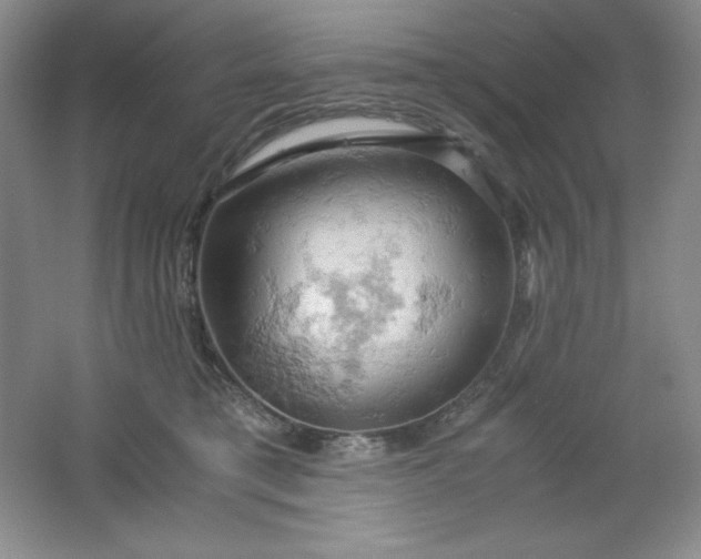 X0000061740421200512161655