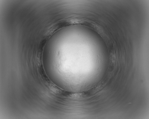 X0000061740422200512161655