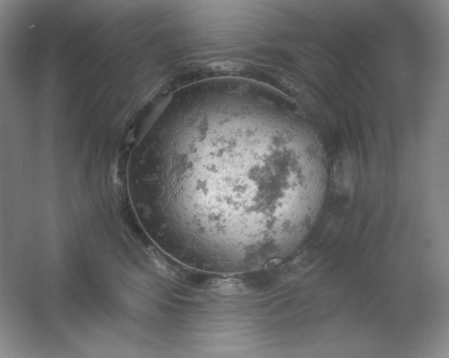 X0000061740424200512161655