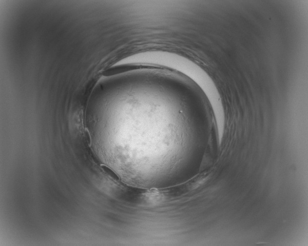 X0000061740425200512161655