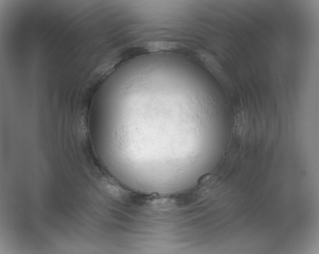 X0000061740426200512161655