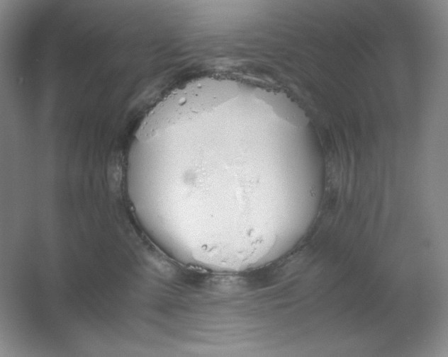 X0000061740427200512161655