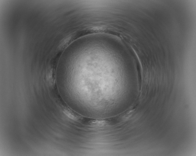 X0000061740428200512161655