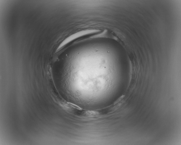 X0000061740429200512161655