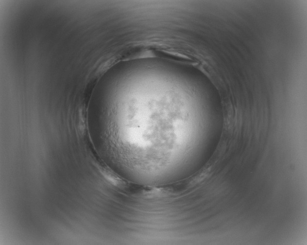 X0000061740430200512161655