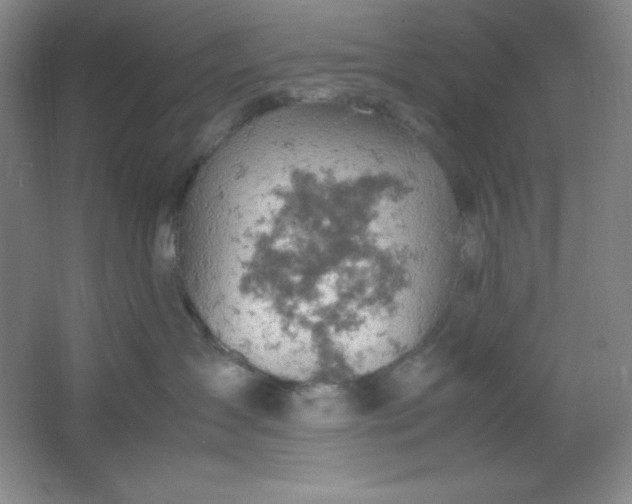 X0000061740431200512161655