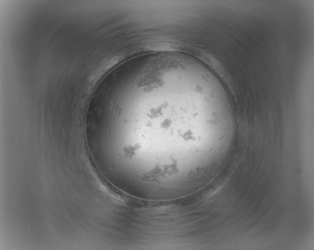 X0000061740433200512161654