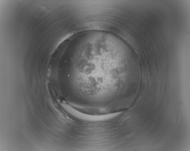 X0000061740434200512161654