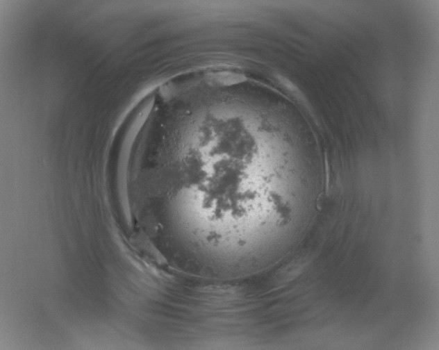 X0000061740435200512161654