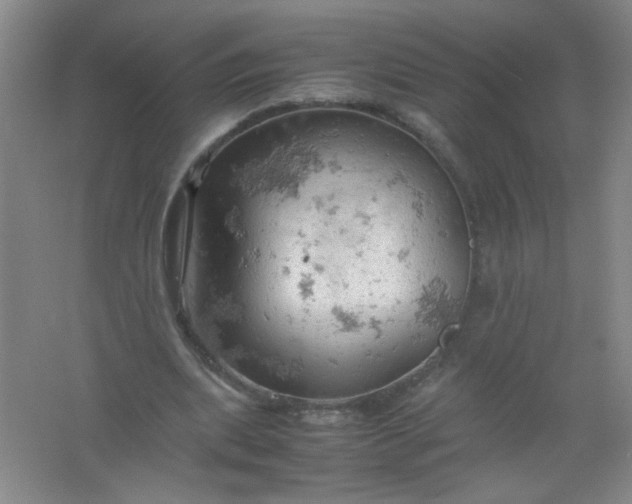 X0000061740439200512161654