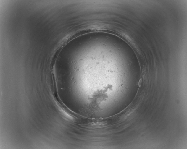 X0000061740445200512161654