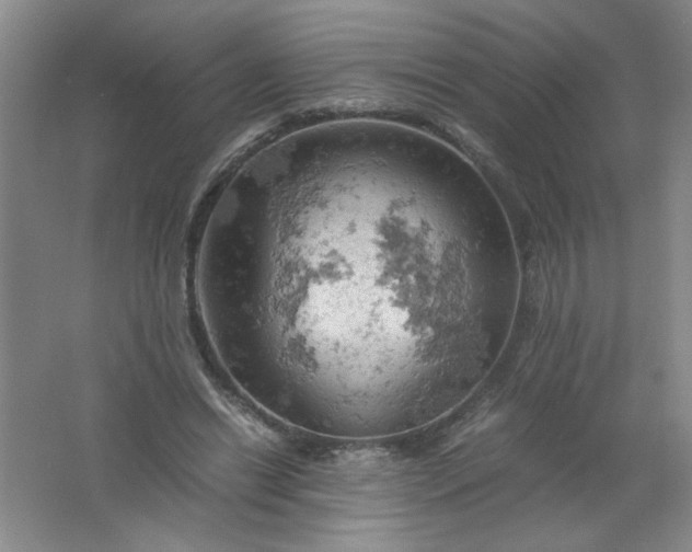 X0000061740446200512161654