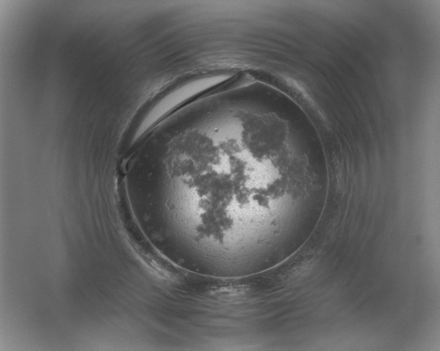 X0000061740447200512161654