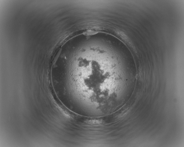 X0000061740449200512161654