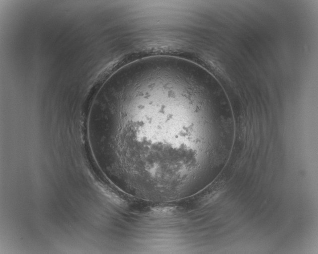 X0000061740450200512161654