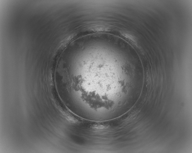 X0000061740453200512161654