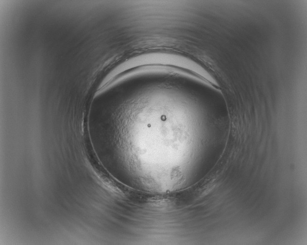 X0000061740454200512161654