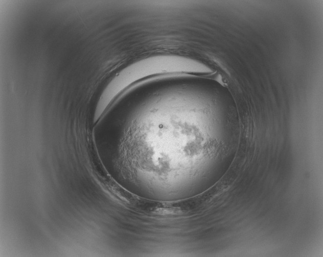 X0000061740455200512161654