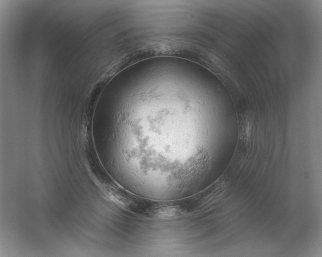 X0000061740456200512161654