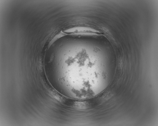 X0000061740457200512161654