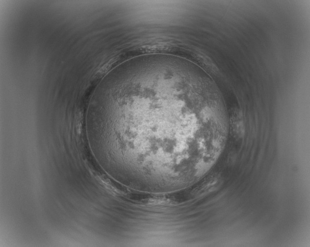 X0000061740458200512161654